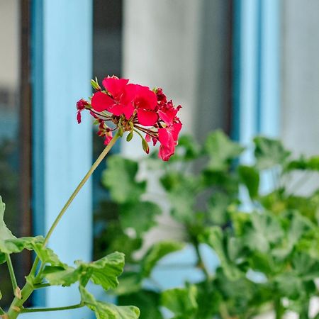 Hotel Casa Blanca Puerto Baquerizo Moreno Zewnętrze zdjęcie